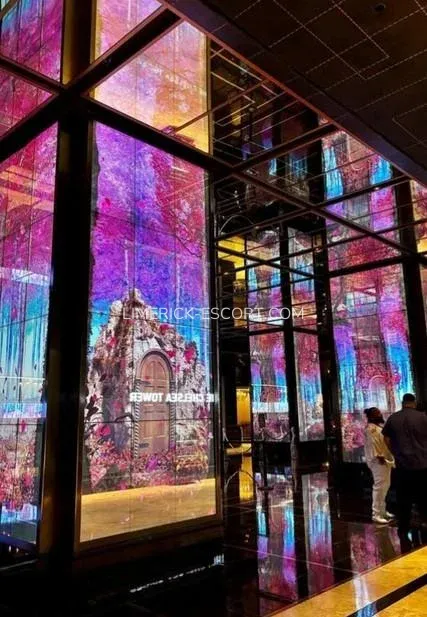 Limerick escorts Nicole — 4