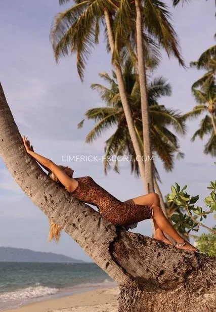 Limerick escorts Alexia — 9